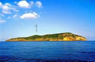 驾驶地带ol无限金币版下载游戏画面