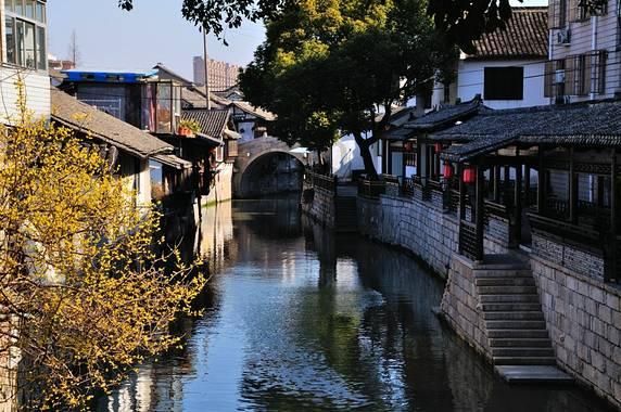 为什么核酸检测价格降了?-机智问答网页,解答疑惑,智慧为您解难题